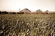 Forth Bridge (2 of 70).jpg